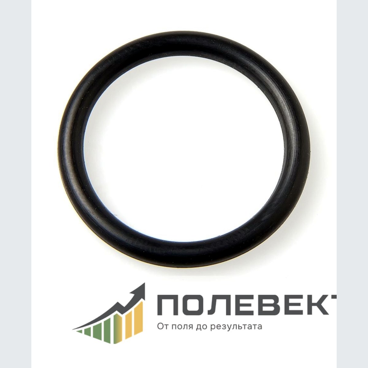 Прокладка крышки БИС12 000001162 000