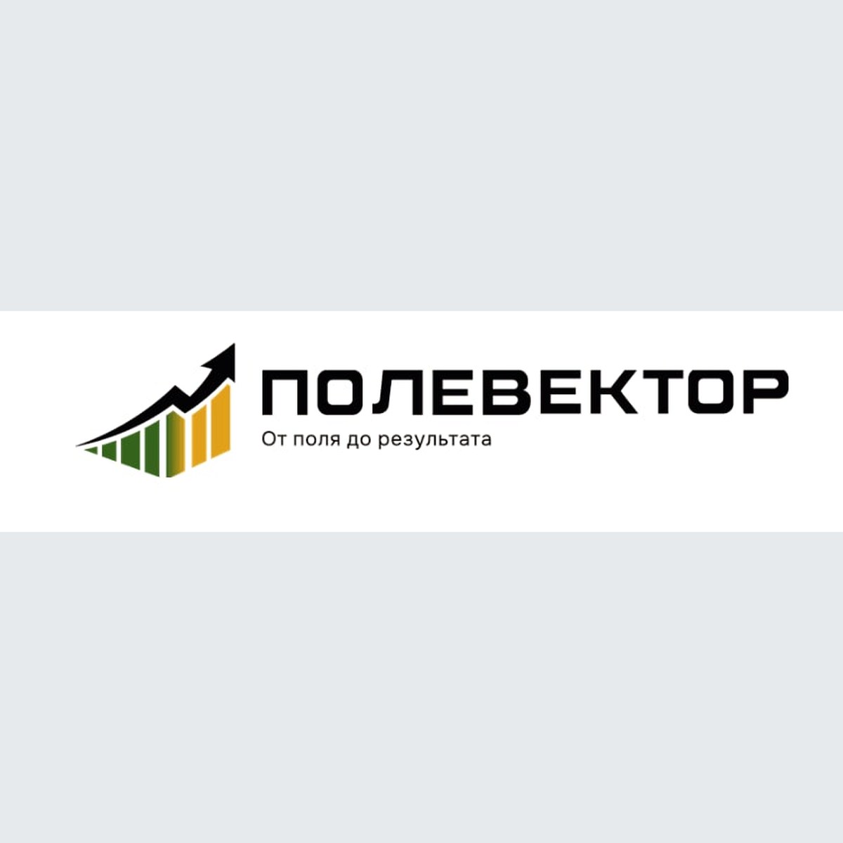 Пружина БИС12 000002035 000
