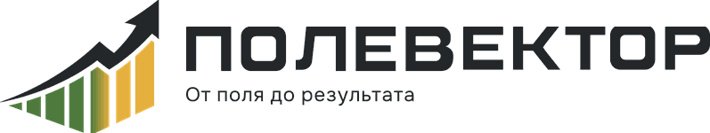 Полевектор — от поля до результата